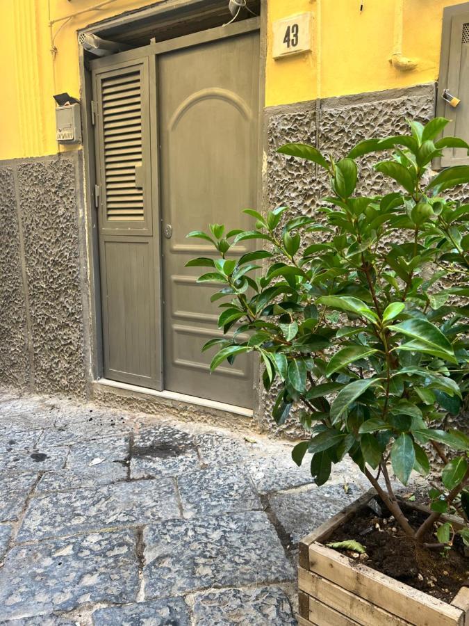 Casa Rosa Appartamento Napoli
